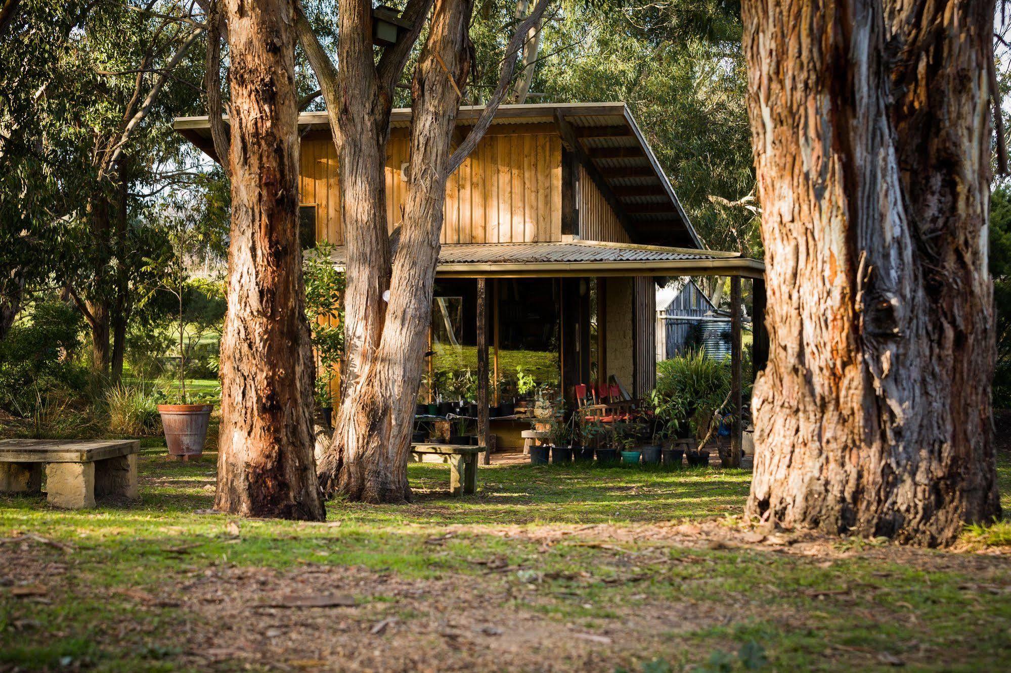 The Burrow At Wombat Bend Villa Dixons Creek Ngoại thất bức ảnh