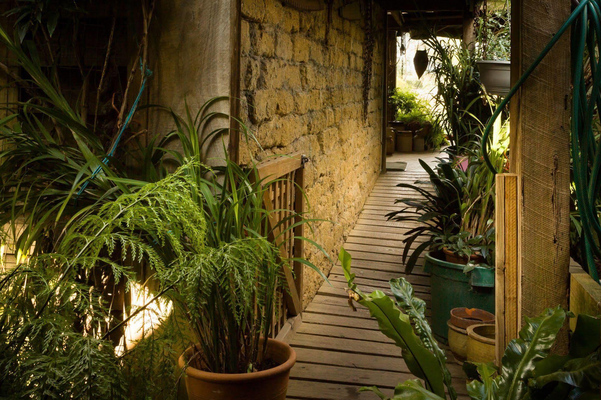 The Burrow At Wombat Bend Villa Dixons Creek Ngoại thất bức ảnh