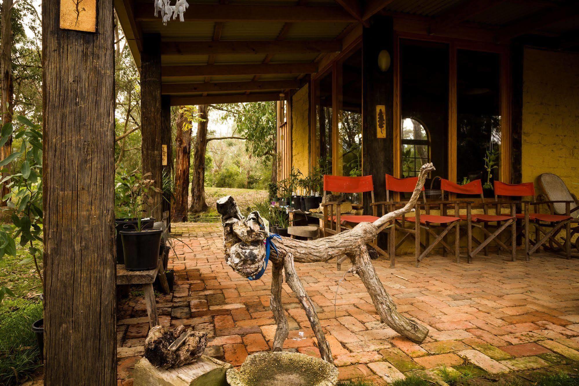 The Burrow At Wombat Bend Villa Dixons Creek Ngoại thất bức ảnh